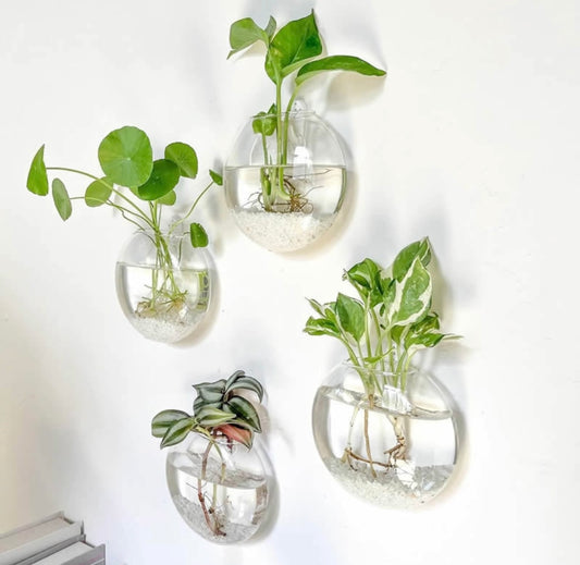2pcs Wall Hanging Glass Plant Terrarium